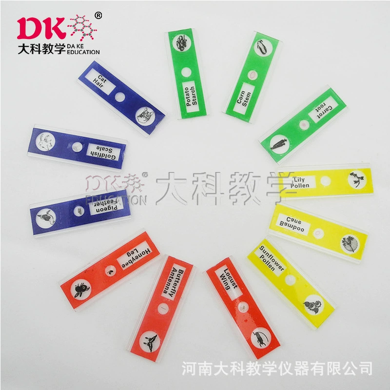 Пр direct science teaching manufacturer direct selling micro -glass onion epidermis tablets plastic biological slices