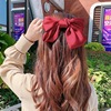 Big hairpin with bow, hairgrip, hair stick, hairpins, ponytail, Korean style
