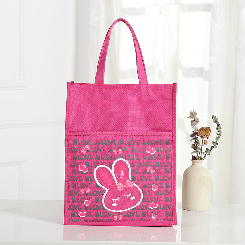 韩版新款A4补习袋学生课本手提书包袋儿童卡通美术袋手拎作业袋详情图7