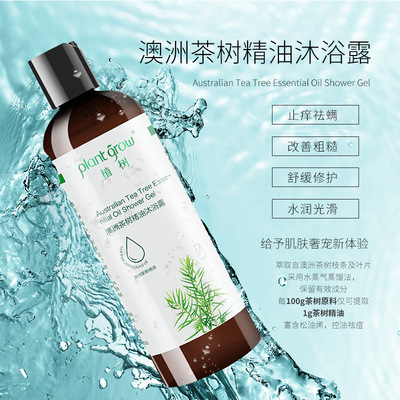 洗護用品除螨修護澳洲茶樹精油沐浴露清爽淨痘植物精華沐浴乳