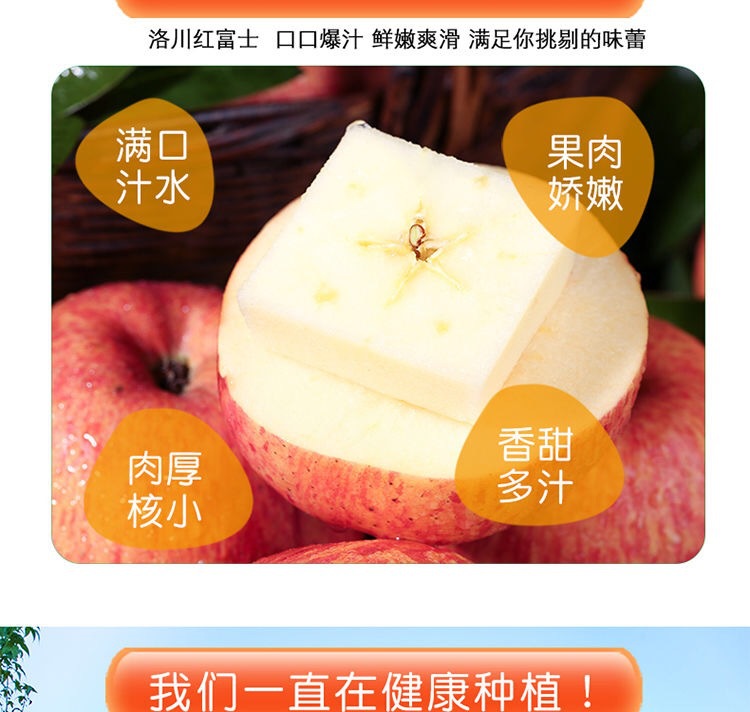 微信图片_202006231233582