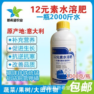 �����12Ԫ�ط� �}�V�F�\���i�f�~� ��Ԫ���~��ʇ��F1L���]