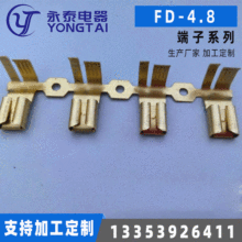 廠家供應汽車端子FD-4.8電線連接器汽車連接器插頭