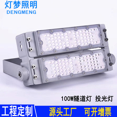 隧道灯厂家批发30W40W50W60W80W100W隧道照明涵洞照明道路照明灯|ms