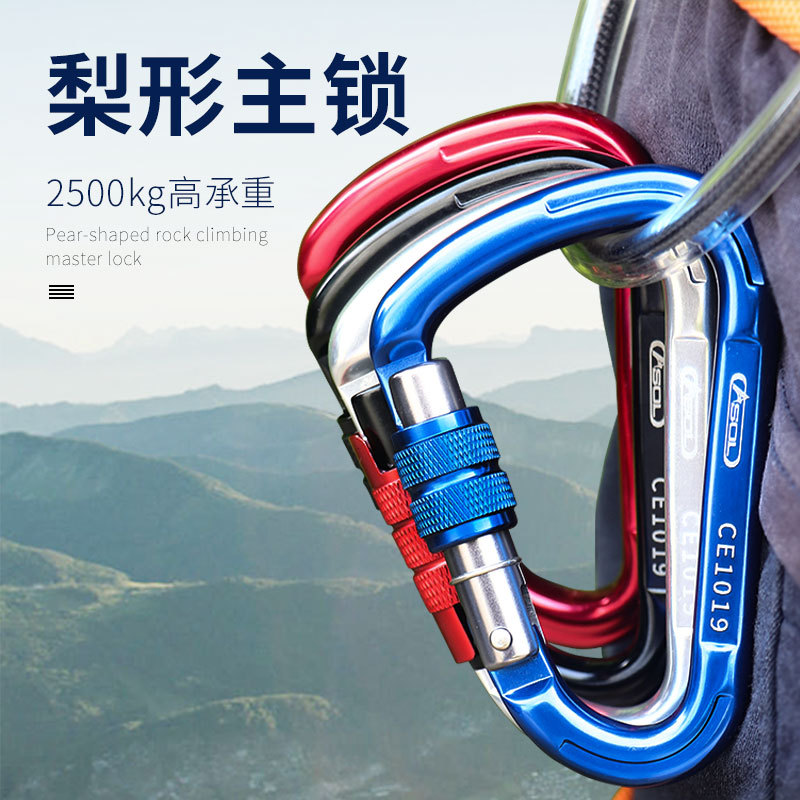 Climbing Mountaineering Lock catch outdoors Climbing equipment Fast hang buckle Downhill Safety buckle Carabiner Master Lock