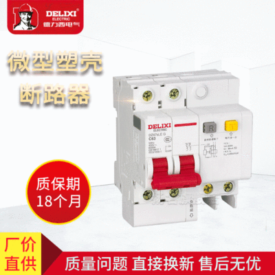 DZ47sLE 2P 德力西家用漏电保护断路器 空气开关 微型塑壳