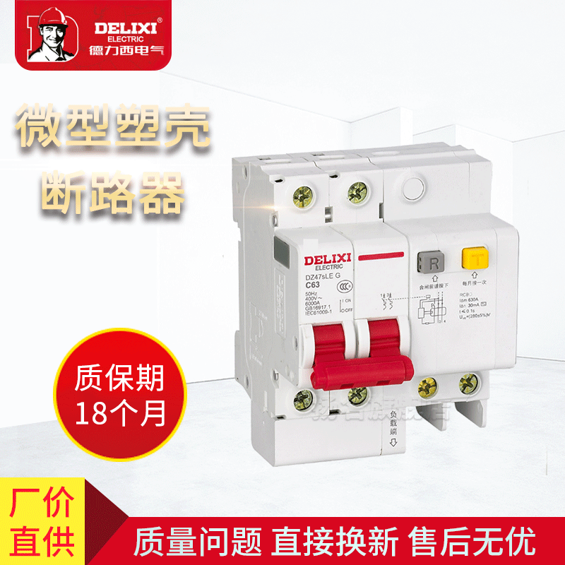 DZ47sLE 2P 德力西家用漏电保护断路器 空气开关 微型塑壳