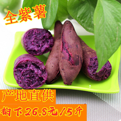 fresh Purple sweet potato Chinese chestnut Sweet potato 5 Sweet potato Sweet potato Shufen Fragrant and sweet
