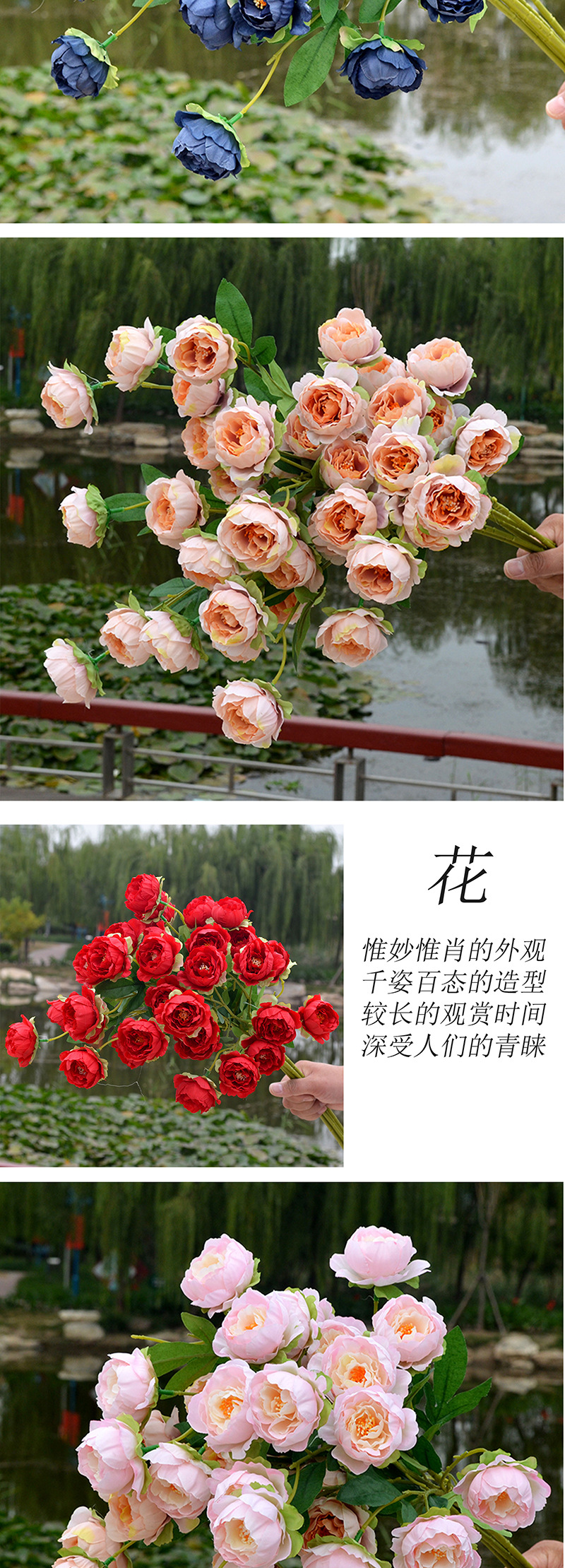 七头玲珑牡丹_03 拷贝.jpg