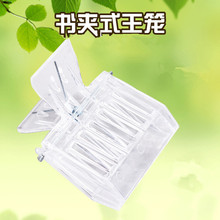 蜂具 夹子蜂王笼 塑料书夹式囚王笼抓王笼 易取蜂王蜜蜂工具