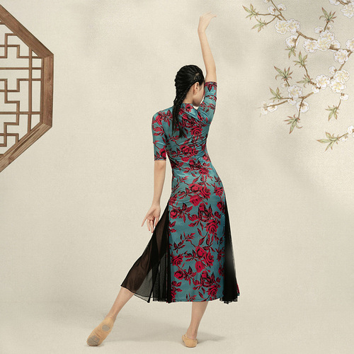 Mesh-improved qipao Hanfu classical dance practice dress for women, Eastern dance printed qipao classical dance practice dress for women skirt