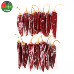 ���u���M�ΏS�����a�����𽷸� ��؛ ���{ζԭζ�����l