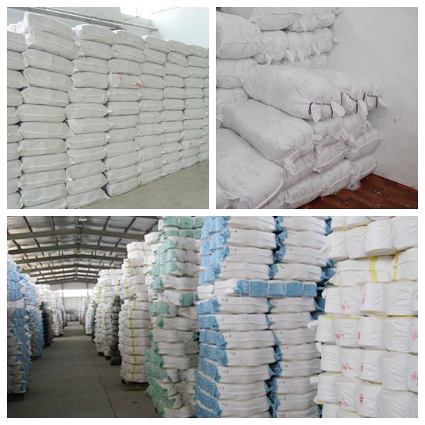 NeoImage_副本_副本