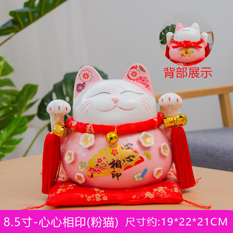 粉猫