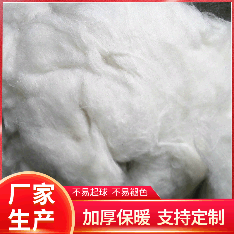 Silk flowering cotton