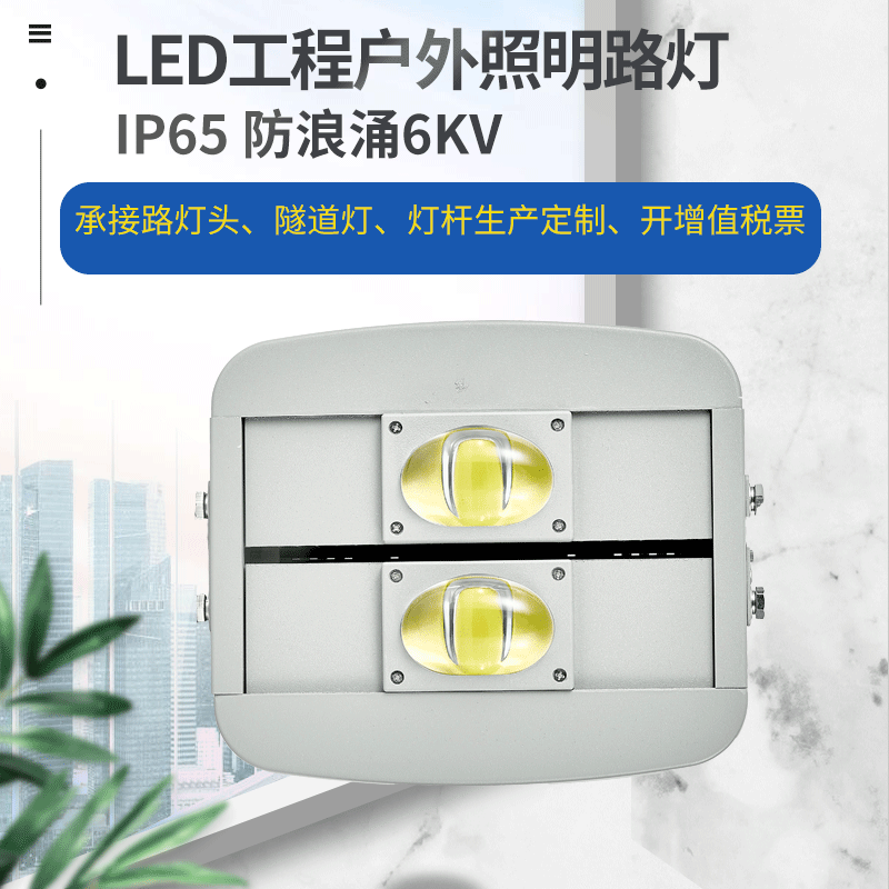 新款一体化投光灯 100W市电新农村市政工程户外亮化照明LED灯|ru