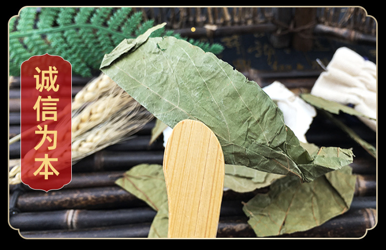 Bu Zha Ye Dried Microcos Leaf Clean New Harvest Bulk Wholesale Supply in use