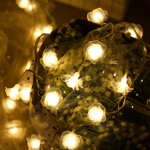 LED Battery Lights Colorful Lights Romantic Rose Lights String Indoor Flash Lights Pendant Wedding Wedding Room Layout Decorative Lanterns