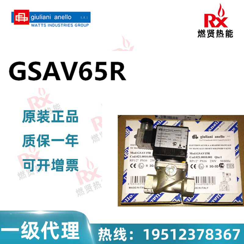 GSAV65R -wang_副本_副本_副本