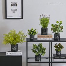 ���W����Gɫֲ�����Ԕ[���͏d�[�O����͏d�Gֲ�b����滨ˇ�Ļ�