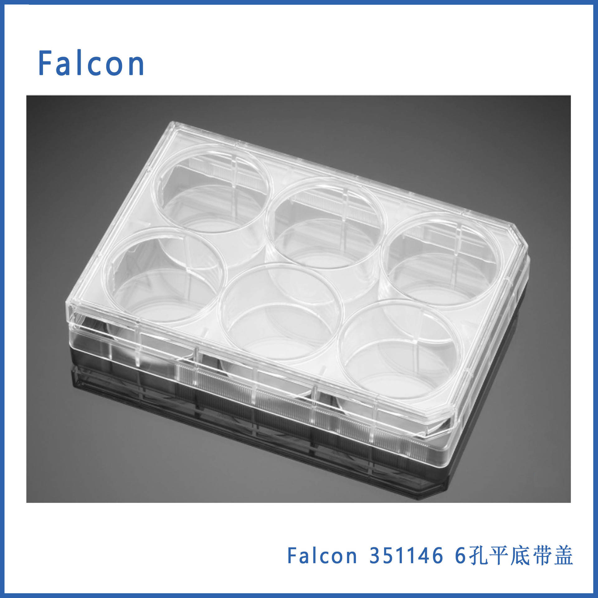 Falcon351146 6孔平底带盖聚苯乙烯无热源 表面未处理无jun微孔板