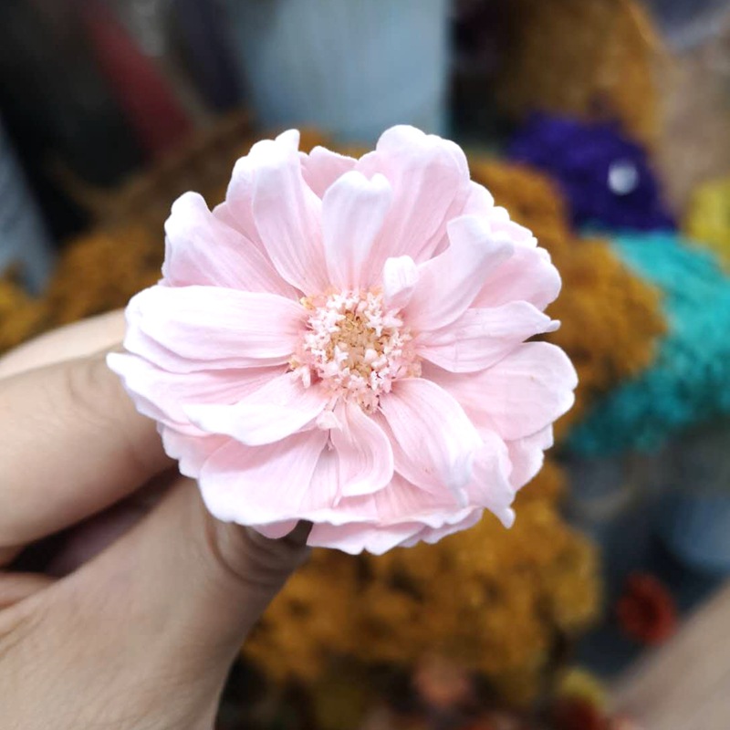 微信图片_20200430160053