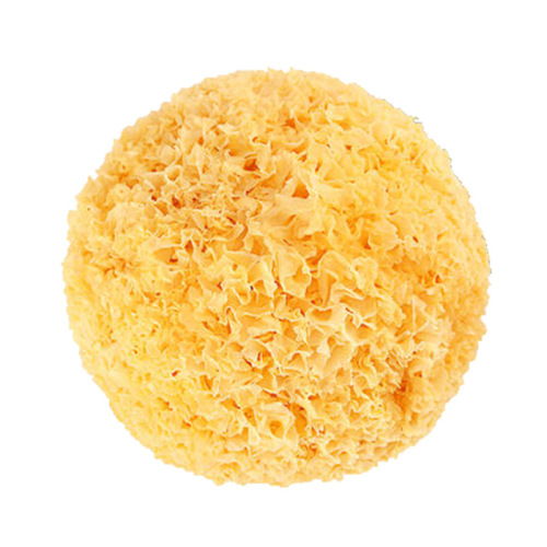 Gutian Specialty: Glutinous White Ear Fungus, Soft and Easy to Cook, Dry Edible Fungus Manufacturer Wholesale