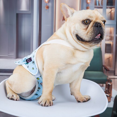 Dog physiological briefs, French bulldog anti-harassment mating briefs, washable female dog menstruation safety pants, pet menstrual hygiene briefs