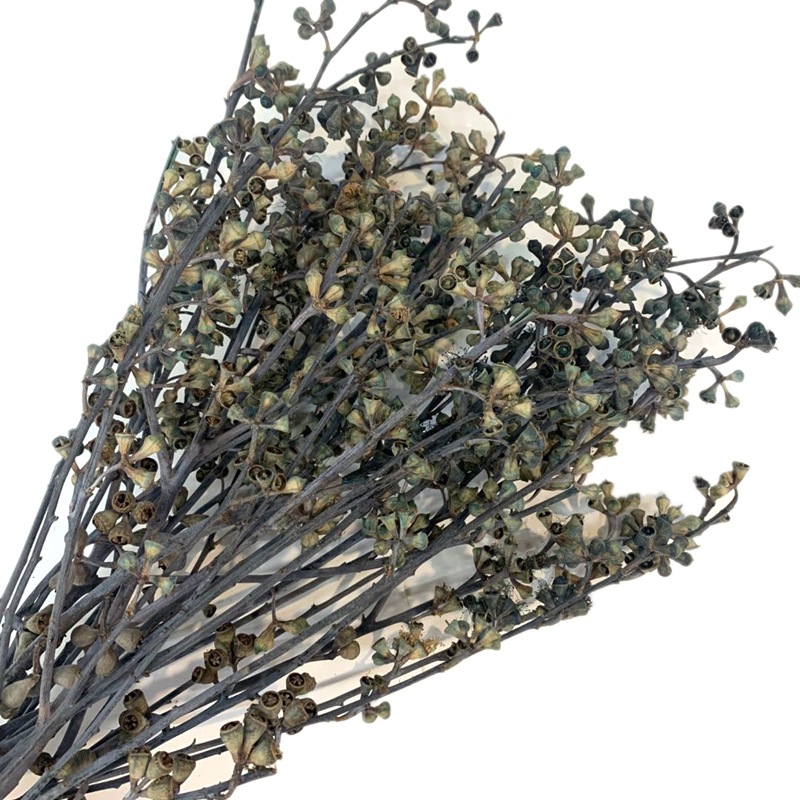 微信图片_20200408160253