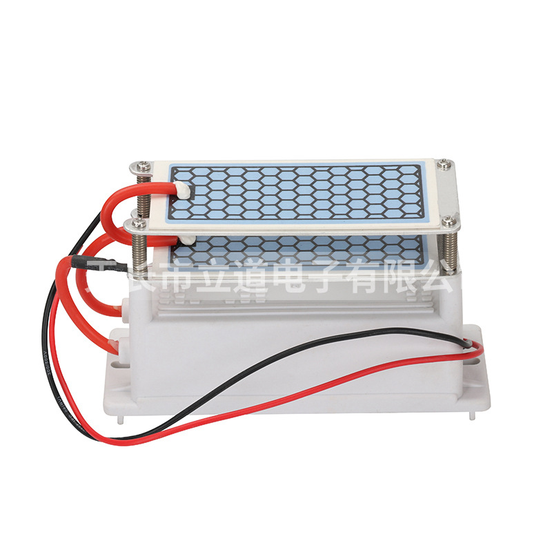 Li Tao customized Ozone parts Open circuit Short circuit protect 10g ceramics Integrated ozone Generator