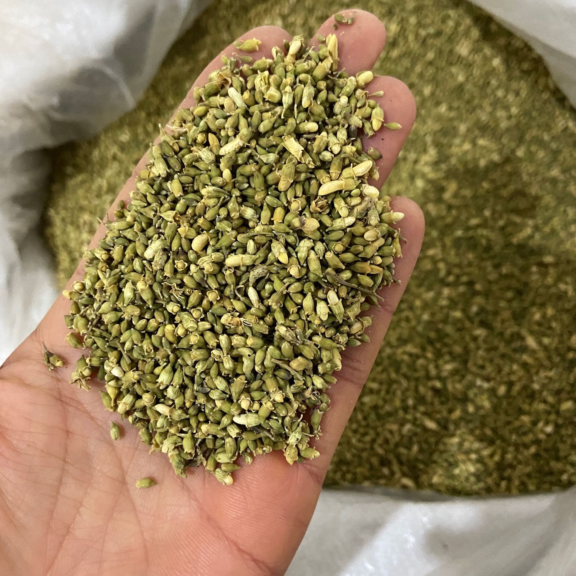 Huai Mi Sophora Bud Dried Huaihua Flower Buds Natural Sun Dried Herbal Tea Ingredient 500g specifications