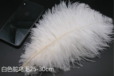 23c5e41137ada6bba43be4e179e708