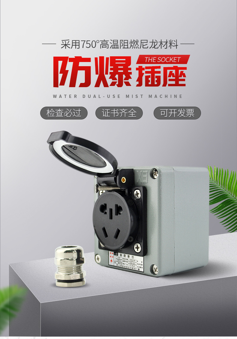 防爆插座_01