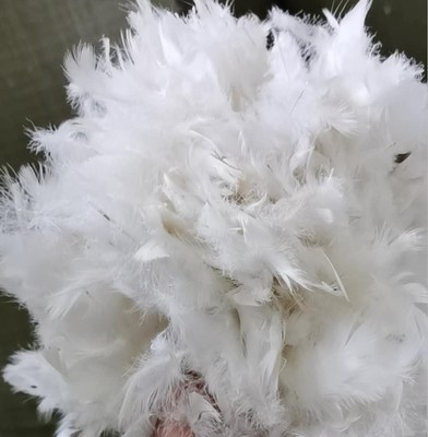 Washed goose feather slices 2~4CM sofa Filling Pillow core Hold pillow Filling raw material