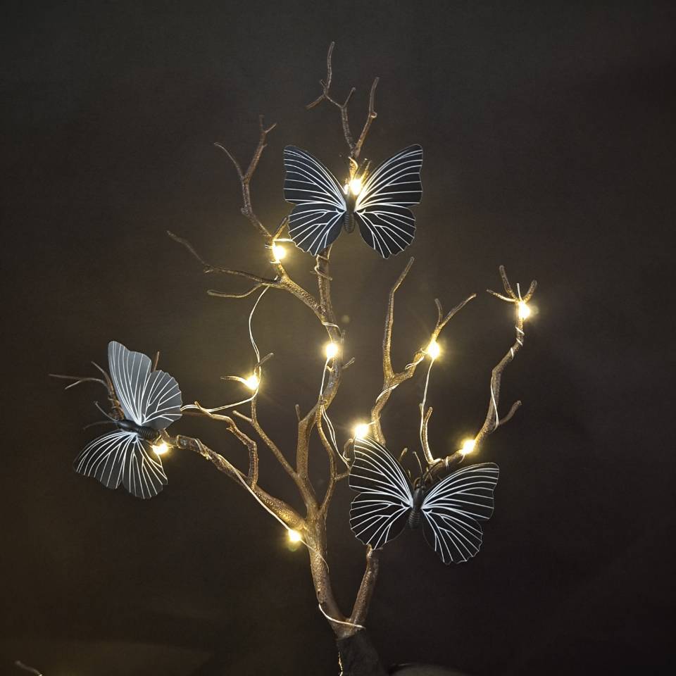 QQ图片20200807120715