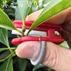finger Pick Artifact Ring tool Hay cutter Beans grape Disbudding Interruption Go to the leaf