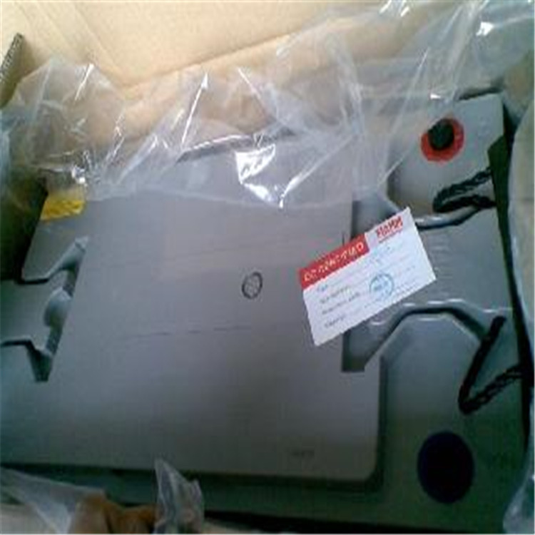 意大利FIAMM蓄电池12SP235 铅酸电池12V23h  现货