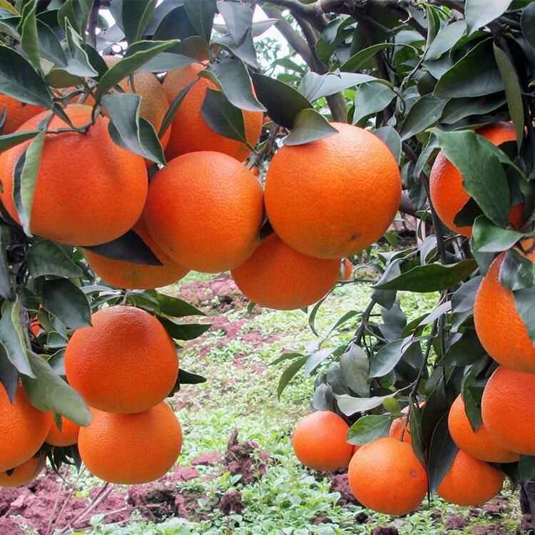 12370701392_944498898