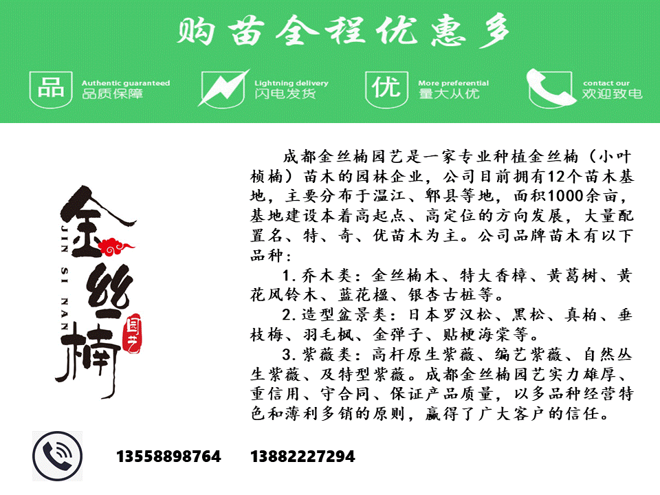 新建 Microsoft PowerPoint 文档