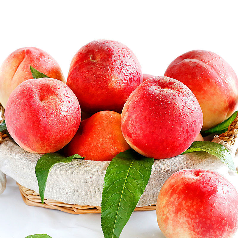 水果现发新鲜毛桃血桃脆甜应季果园水蜜桃孕妇整1月邮无|ru