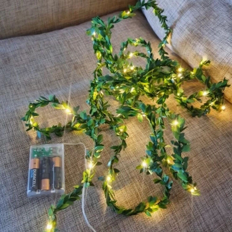 QQ图片20201129082541