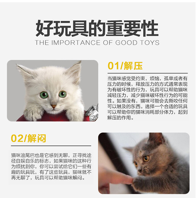 10503474380_906868034