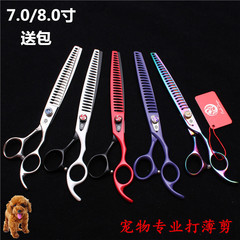8.0-inch Zilong high-end colored-painted pet grooming scissors: tooth-shaped scissors, hair-trimming scissors, thinning scissors, fishbone scissors, multi-colored.