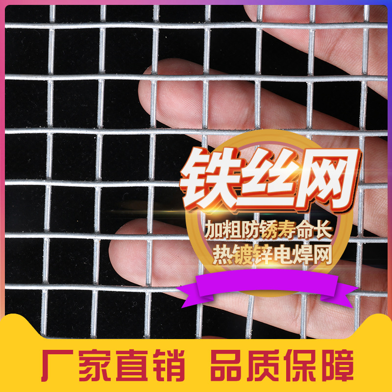 热镀锌电焊网铁网格铁丝网围栏镀锌电焊网片防鼠家用钢丝防护栏