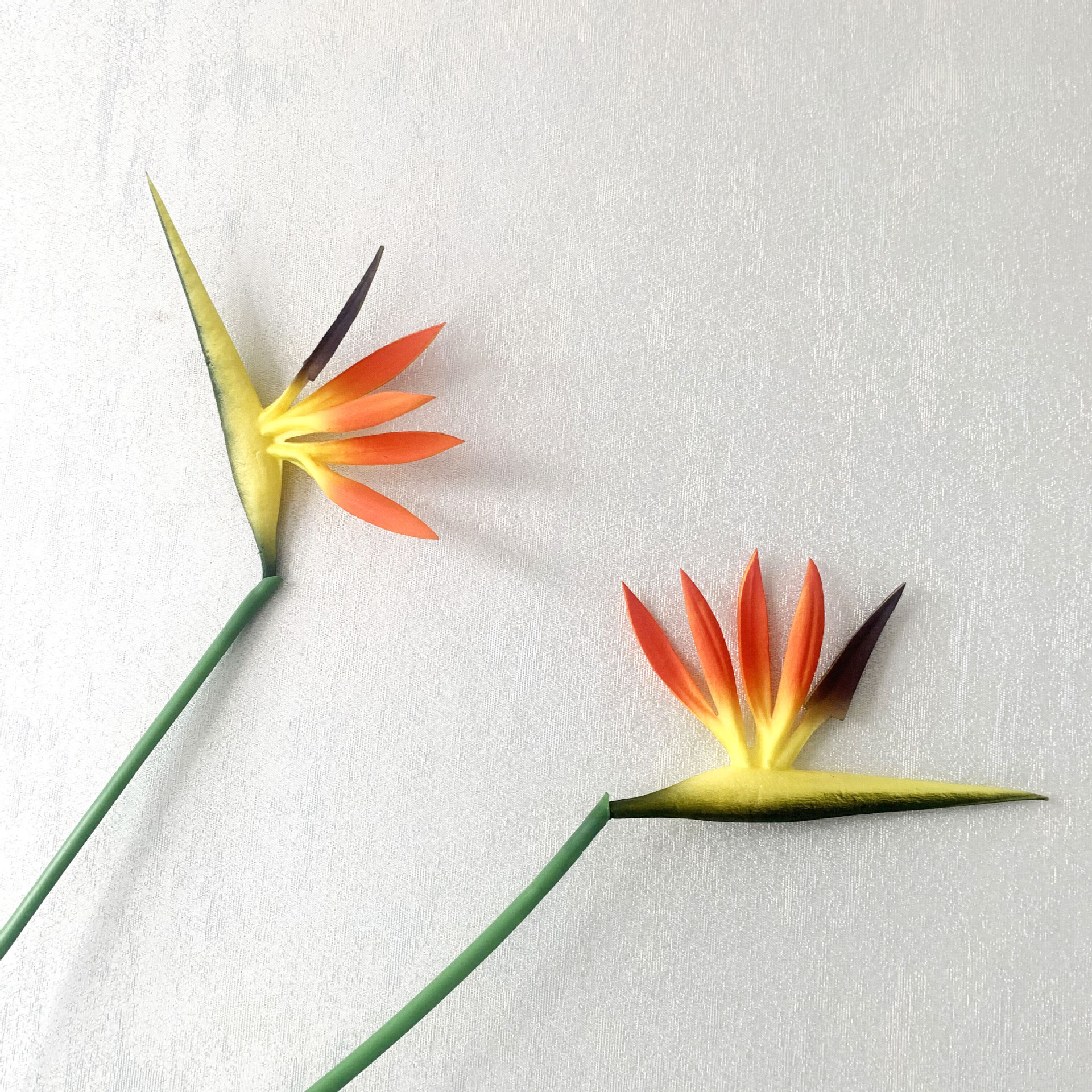 QQ图片20201209105951