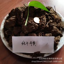 干牛粪大块 蘑菇杏鲍菇用牛粪肥料 菌类植物养护肥料 晒干牛粪