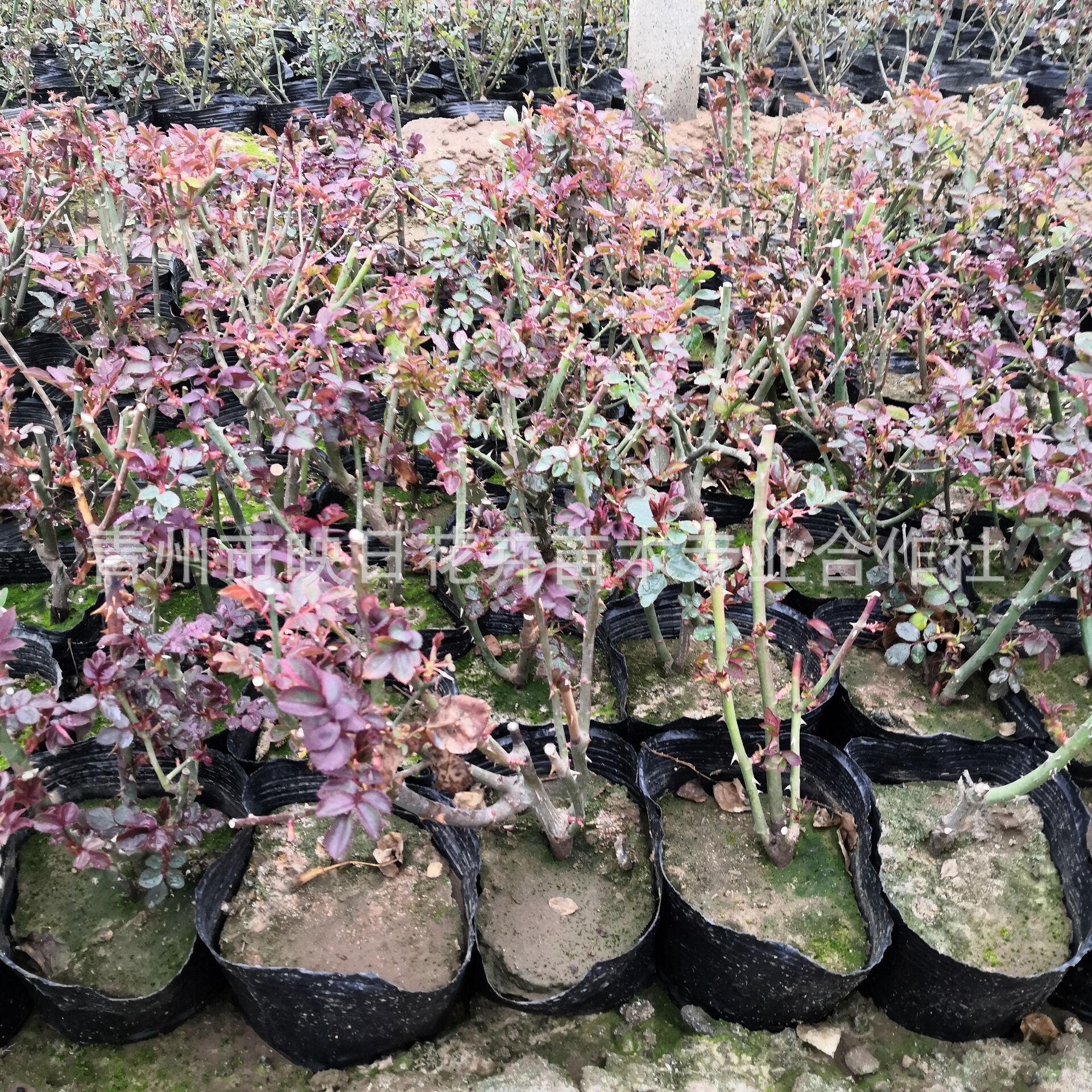 3RA$52R9Z1JN0M`]A5HDLE8