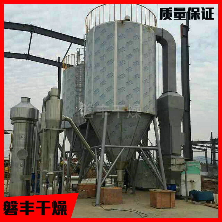 磐丰 喷雾干燥处理能力 5-2000Kg/h 50型喷雾干燥塔 悬浮液物料