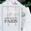 Fashionable double-sided matte long brand earrings, Japanese and Korean, city style