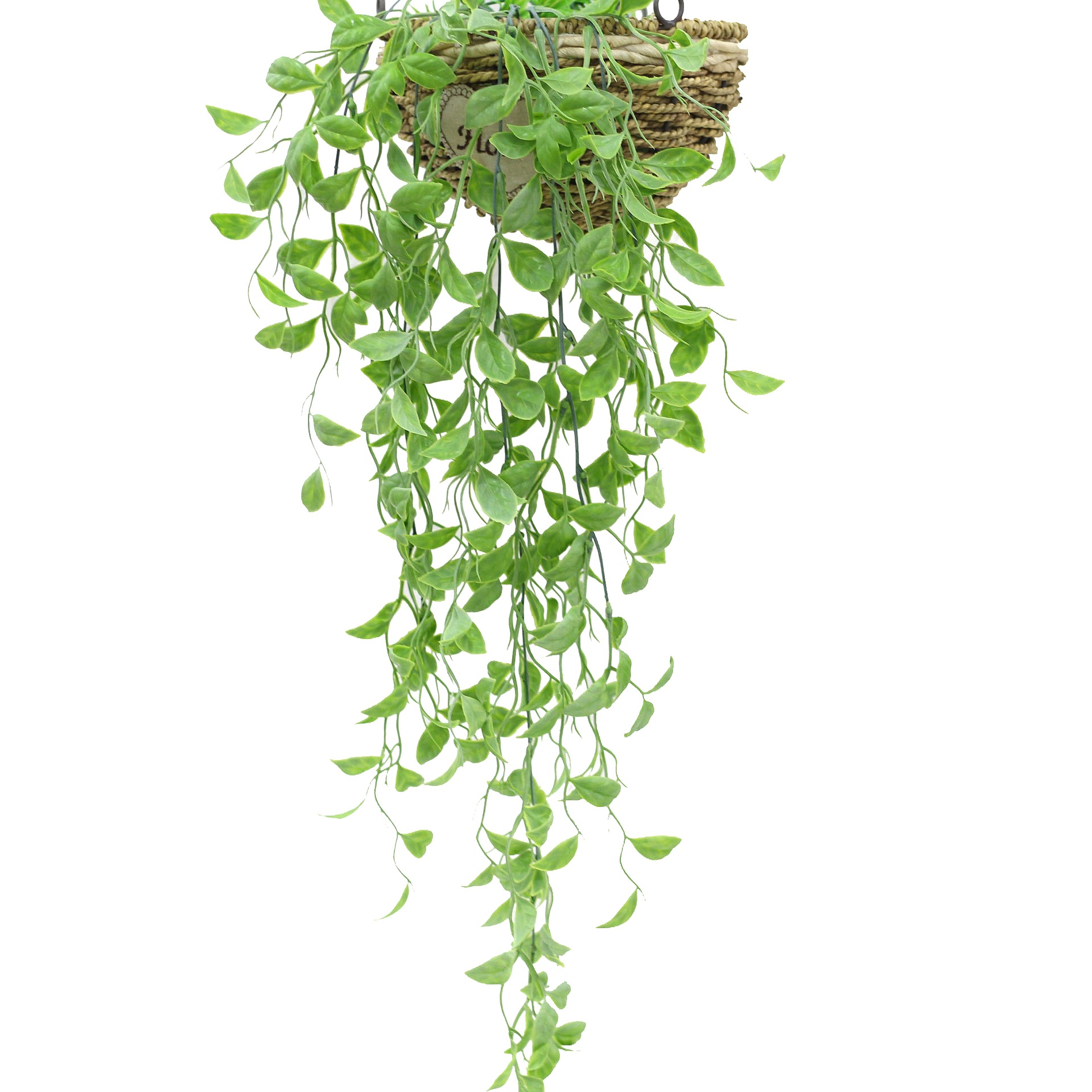 仿真植物壁掛羅葉草塑料花家居裝飾人造花植物墻婚慶綠植工程造景